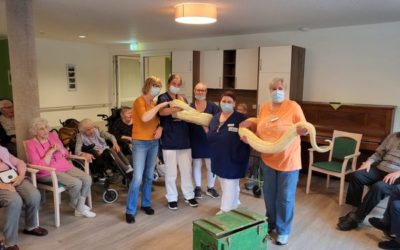 Zirkustiere zu Besuch im Seniorenzentrum Wiesentrift.