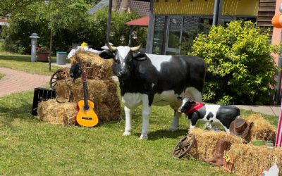 🤠🌵COUNTRY – PARTY🎸🎶