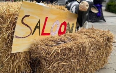 🤠Sommerfest im Countrystyle🤠