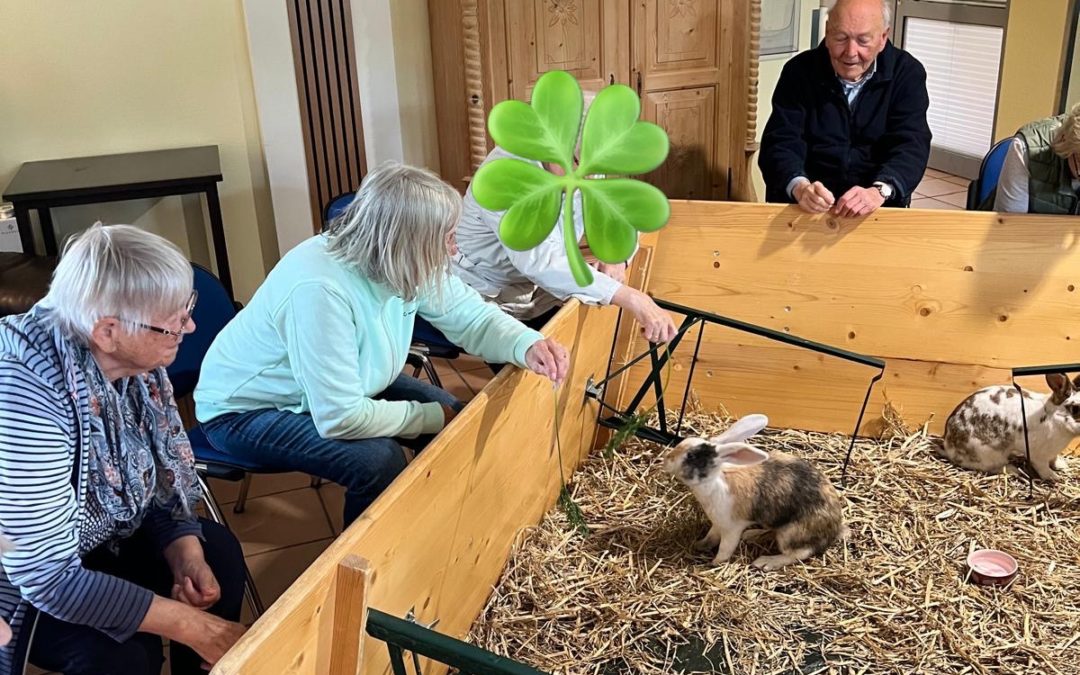  Tierischer Besuch 🐇