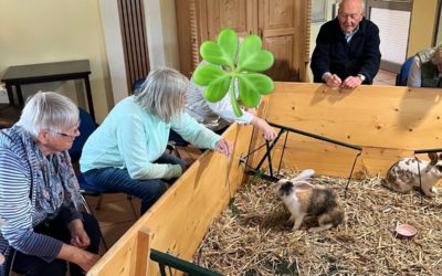  Tierischer Besuch 🐇
