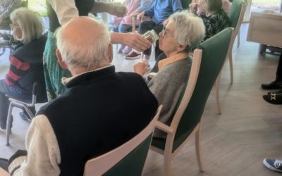 Kräuter mit allen Sinnen erleben 🌿