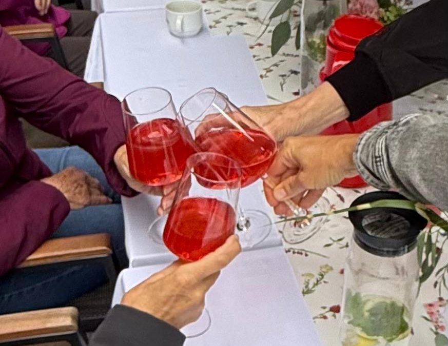 Sommerfest in der Tagespflege Heideblüte☀️