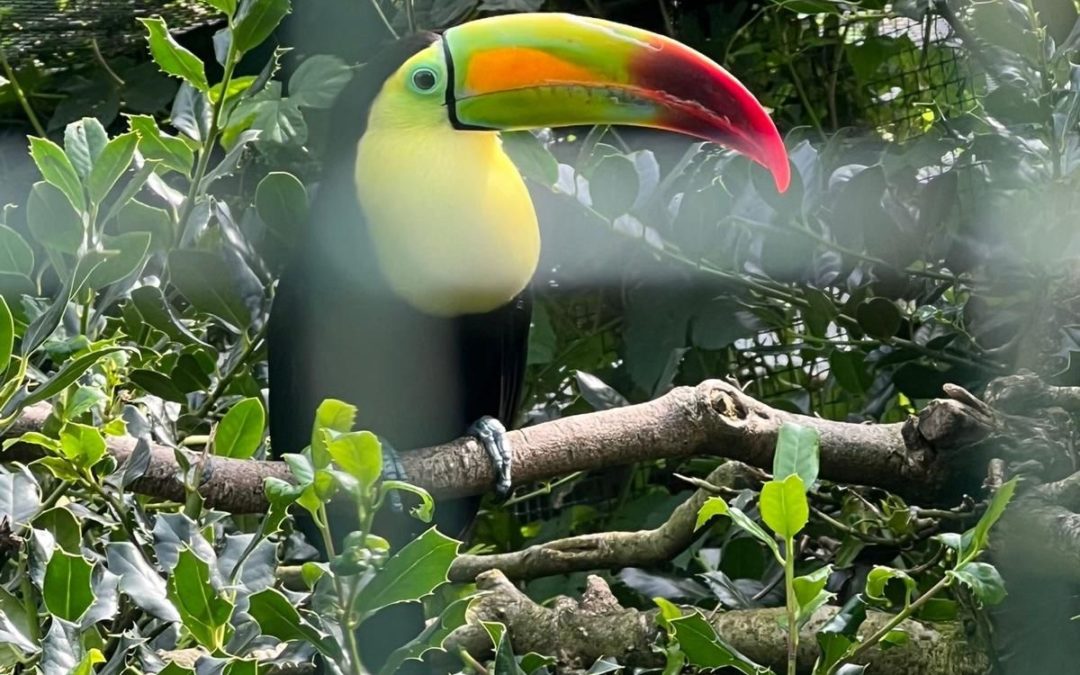 Ausflug in den Weltvogelpark Walsrode 🌞🐦