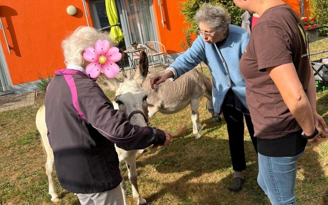 Tierischer Besuch 🫏
