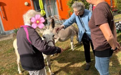 Tierischer Besuch 🫏