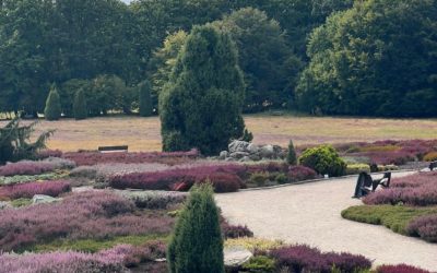 Ausflug in den Heidegarten