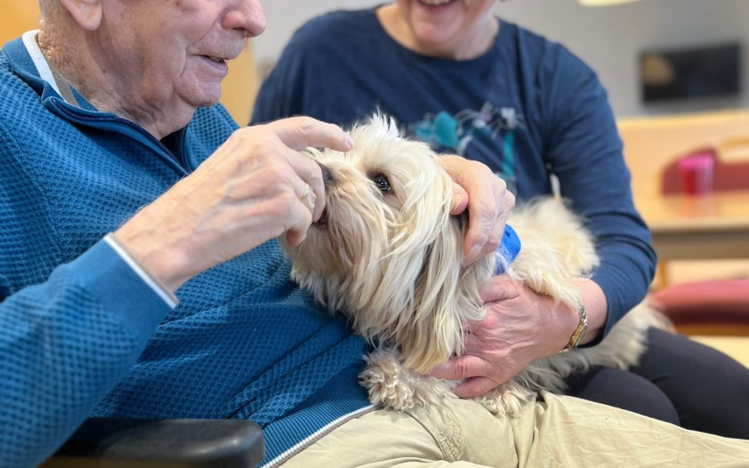 Therapie auf vier Pfoten