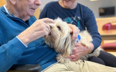 Therapie auf vier Pfoten