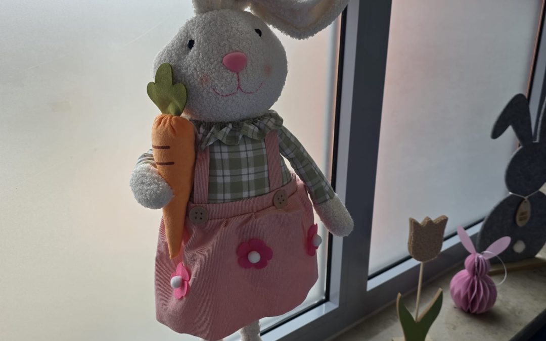 Die Osterhasen ziehen langsam ein 🐰