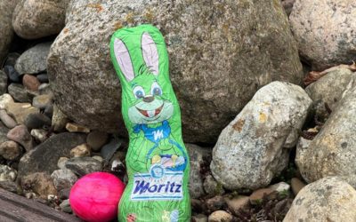Osterfreude 🌷🐰