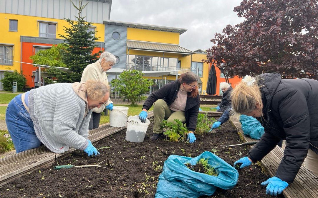 Wie schön es ist, einen Garten zu haben 🌿