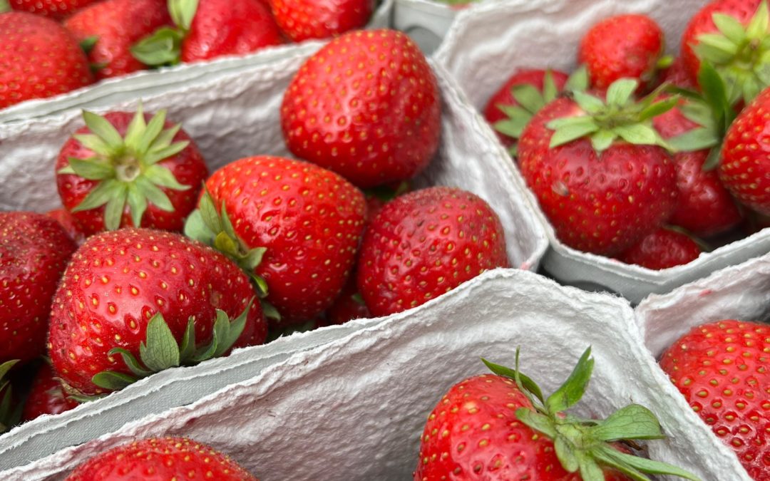 So schmeckt der Sommer 🍓